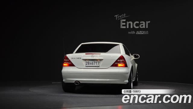 Mercedes-Benz SLK-класс R170, 2004 4