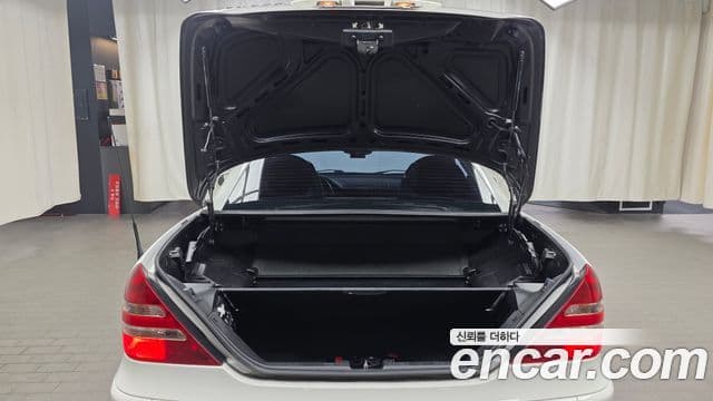 Mercedes-Benz SLK-класс R170, 2004 20