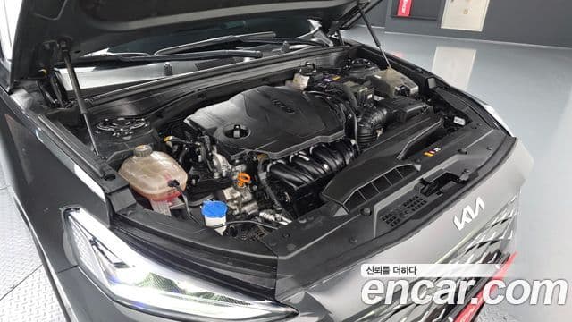 Kia K8 Noblesse Light, 2022 6