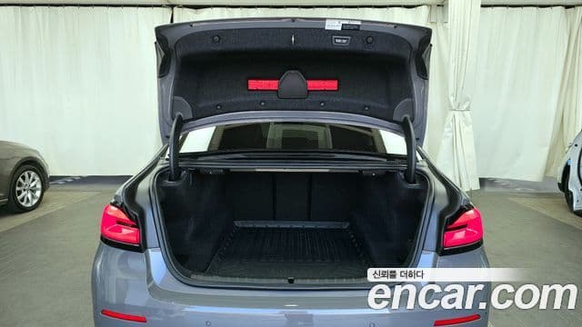 BMW 5시리즈 (G30) Luxury, 2021 20