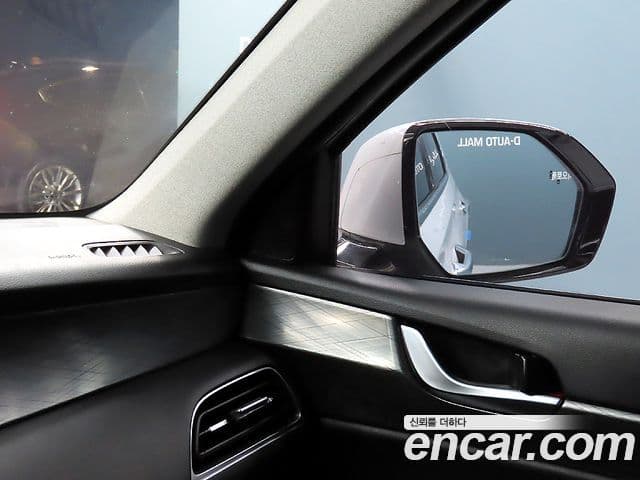 Hyundai Palisade Prestige, 2020 14