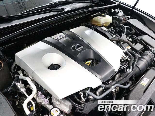 Lexus ES300h 7세대 Executive, 2021 19