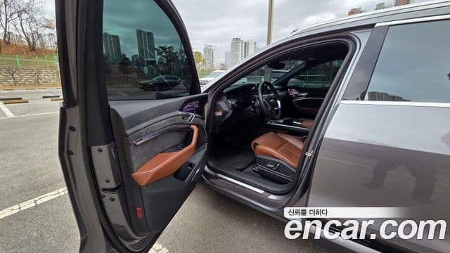 Audi e-Tron, 2020 19