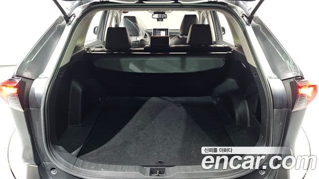 Toyota RAV4 5세대, 2019 20