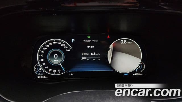 Hyundai Palisade Prestige, 2021 8