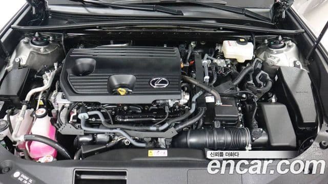 Lexus ES300h 7세대 Executive, 2025 6