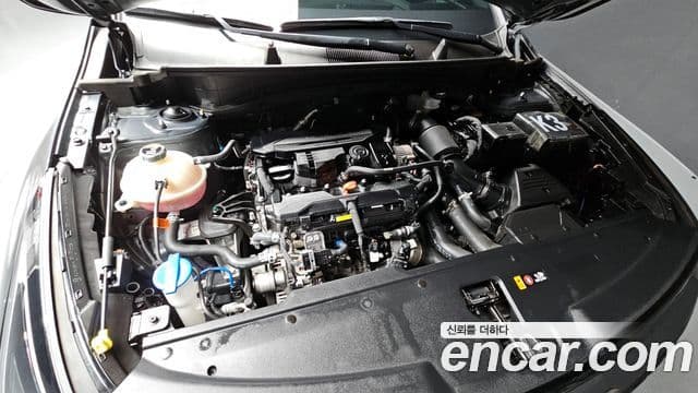 Kia The / новый New Sportage 5세대 Signature X Line, 2025 6