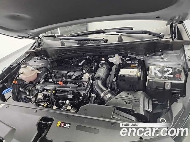 Kia Sportage 5세대 Signature, 2024 все фото