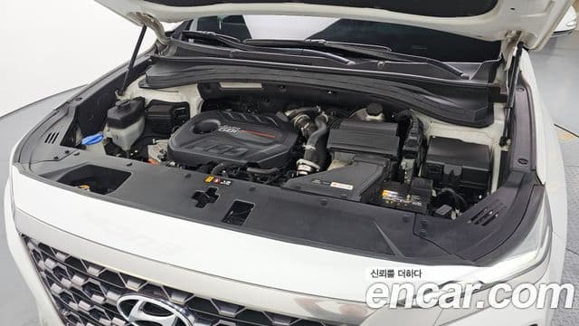 Hyundai Santa Fe TM Exclusive Special, 2019 6