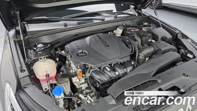 Kia K8 Noblesse Light, 2023 6