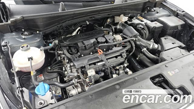 Kia Sportage 5세대 Signature, 2023 6