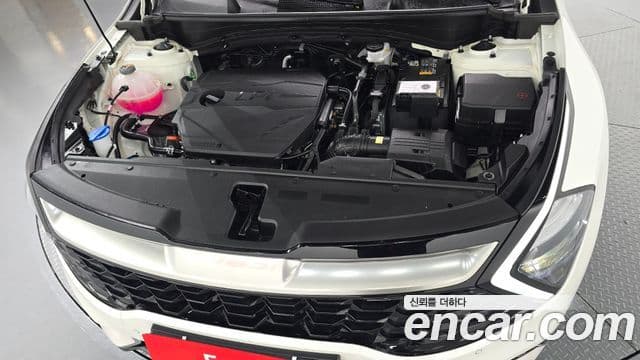 Kia Sportage 5세대 Signature, 2024 6