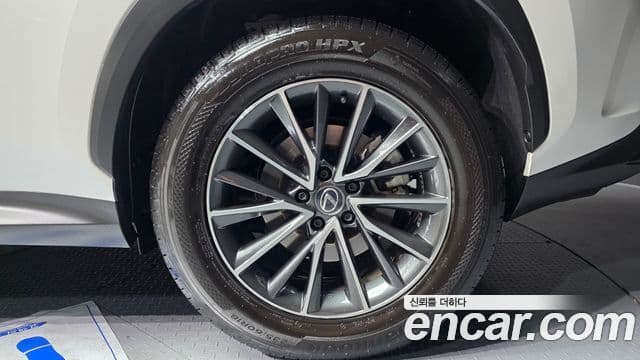 Lexus NX450h+ 2세대 Premium, 2025 все фото