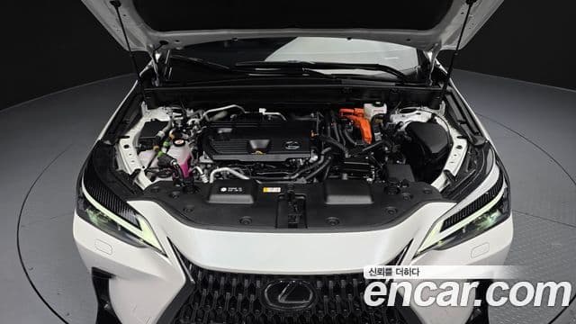 Lexus NX450h+ 2세대 Premium, 2025 6