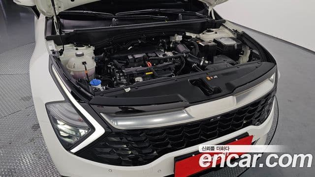 Kia Sportage 5세대 Signature, 2024 6