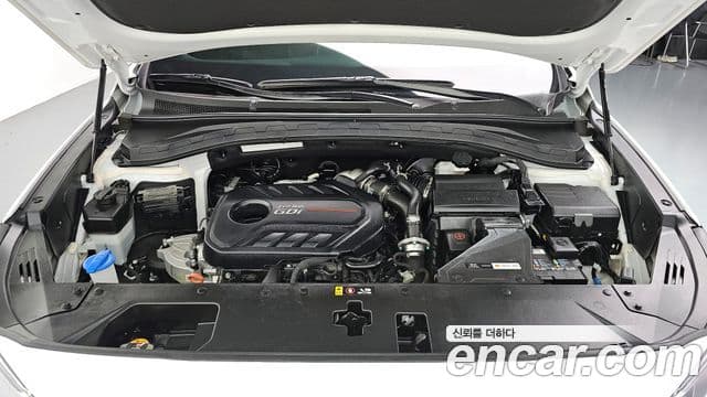 Hyundai Santa Fe TM Inspiration, 2020 6