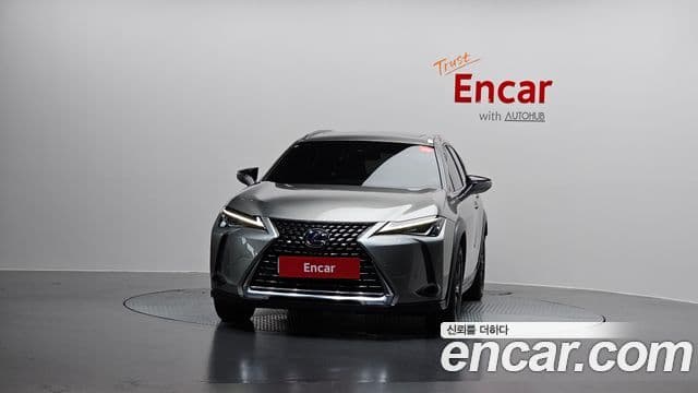 Lexus UX250h, 2020 3