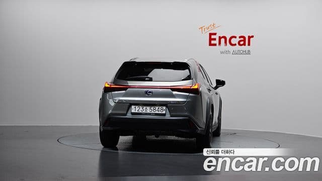 Lexus UX250h, 2020 4