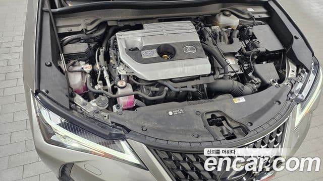 Lexus UX250h, 2020 6