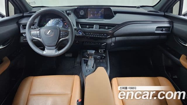 Lexus UX250h, 2020 7