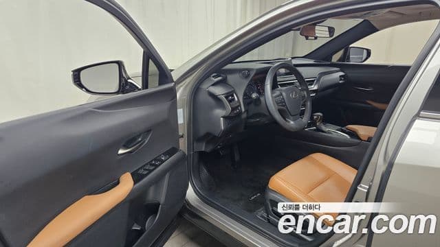 Lexus UX250h, 2020 10