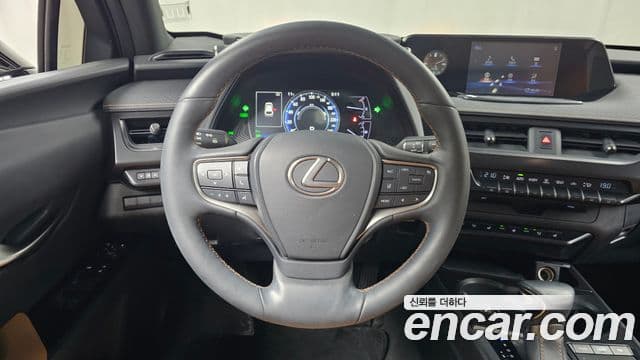 Lexus UX250h, 2020 13