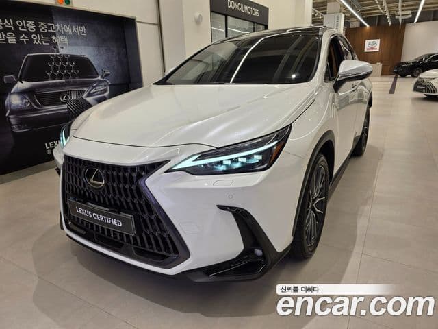 Lexus NX350h 2세대 Luxury, 2024 1