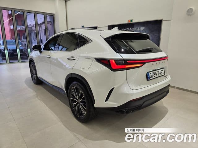 Lexus NX350h 2세대 Luxury, 2024 2