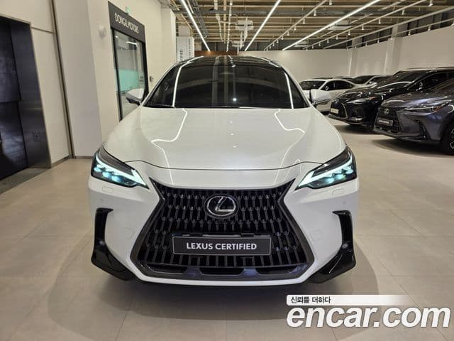 Lexus NX350h 2세대 Luxury, 2024 3