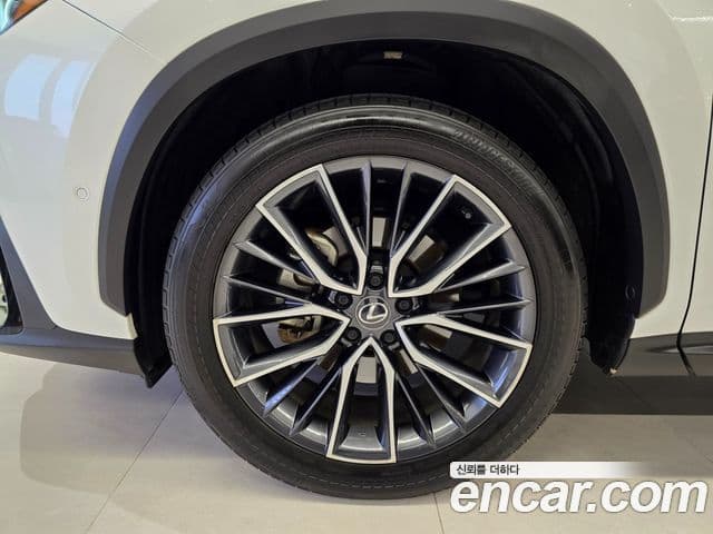 Lexus NX350h 2세대 Luxury, 2024 все фото