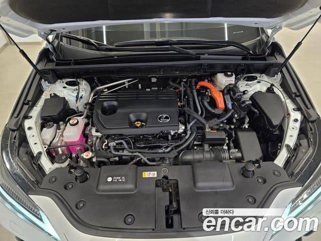 Lexus NX350h 2세대 Luxury, 2024 6