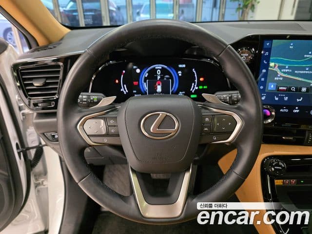 Lexus NX350h 2세대 Luxury, 2024 13