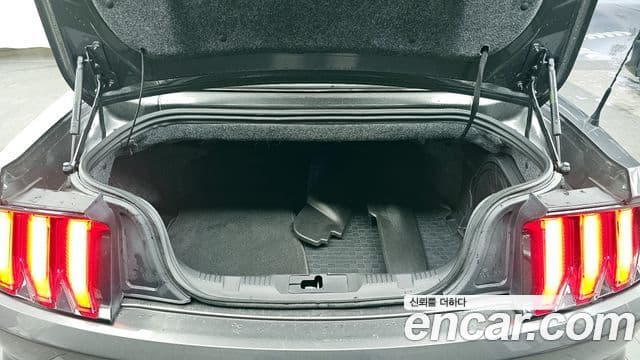 Ford Mustang GT кабриолет, 2020 20