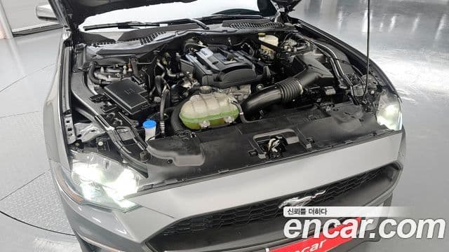 Ford Mustang купе, 2021 6