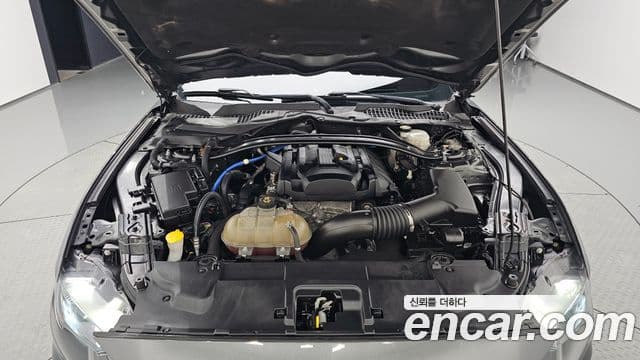 Ford Mustang купе, 2019 6