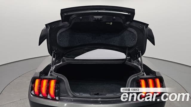 Ford Mustang купе, 2019 20