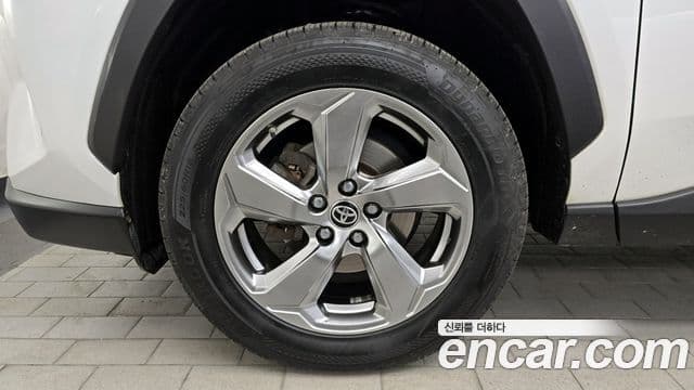 Toyota RAV4 5세대, 2020 все фото