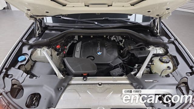 BMW X4 (G02) xDrive20d xLine, 2020 6