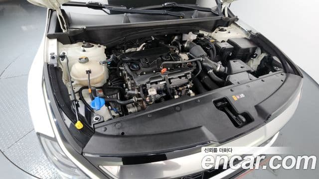 Kia Sportage 5세대 Signature, 2022 6