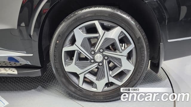 Hyundai Palisade Calligraphy, 2021 все фото