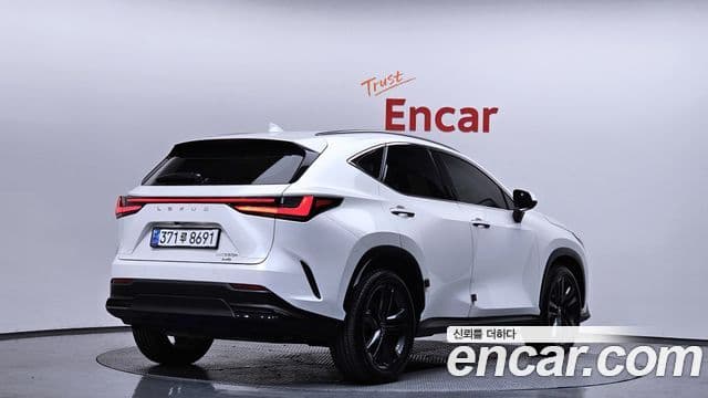 Lexus NX350h 2세대 Premium, 2024 2