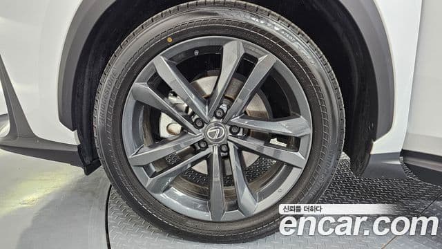 Lexus NX350h 2세대 Premium, 2024 все фото