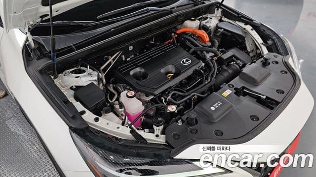 Lexus NX350h 2세대 Premium, 2024 6
