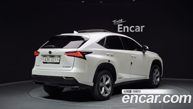 Lexus NX300h Executive, 2017 2