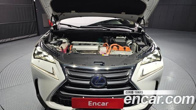 Lexus NX300h Executive, 2017 6