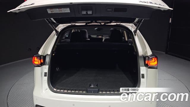 Lexus NX300h Executive, 2017 20