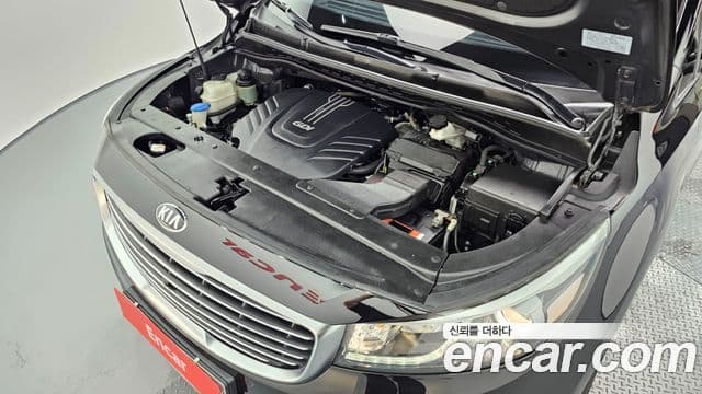 Kia All New Carnival Noblesse, 2017 6