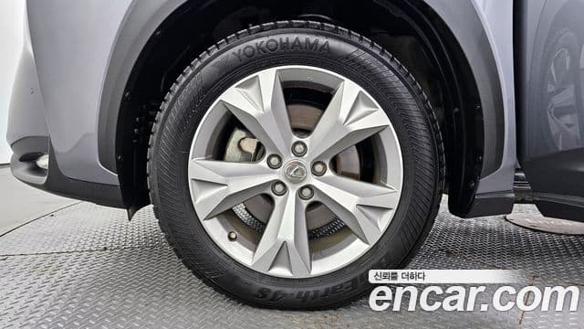 Lexus NX300h Executive, 2017 все фото