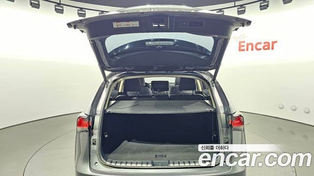 Lexus NX300h Executive, 2017 20