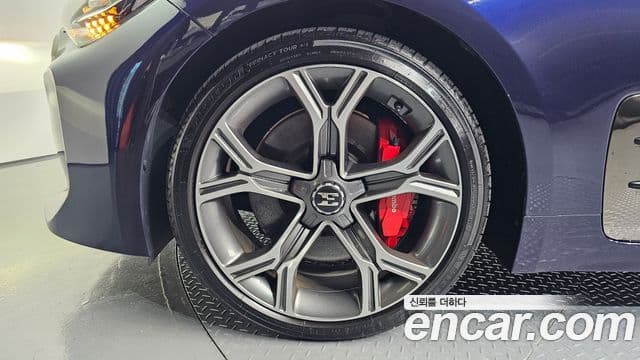 Kia 스팅어 Platinum, 2019 все фото